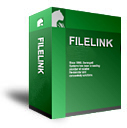 Procomm Plus vs FileLink